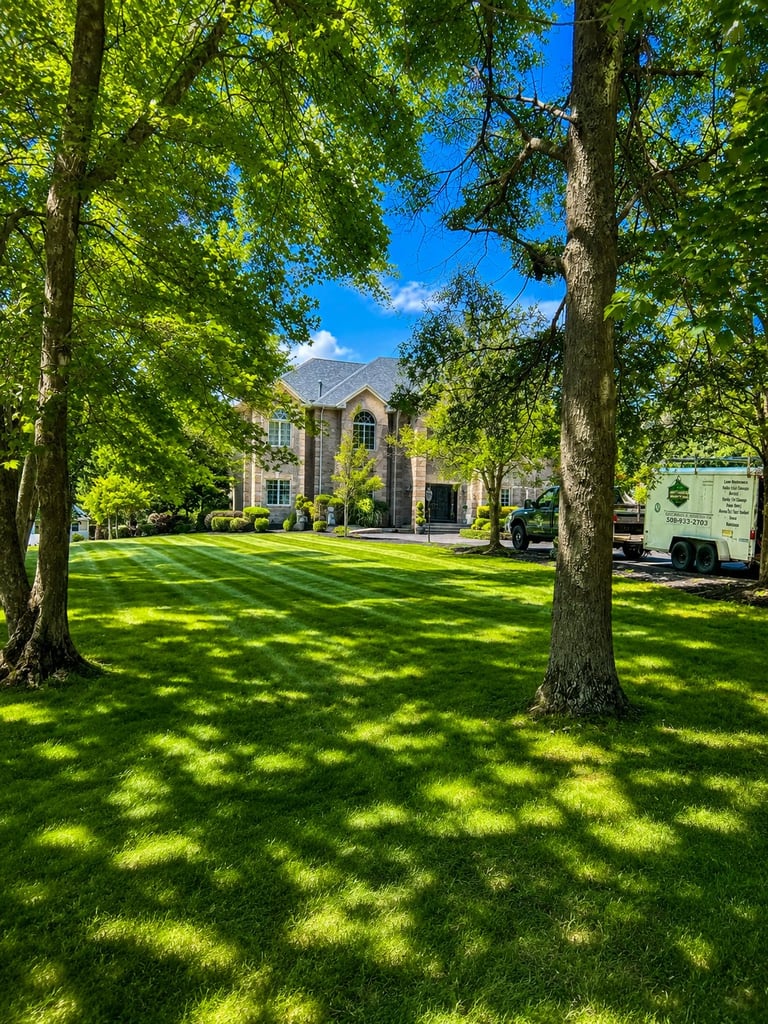 Large brick mansion viewed through mature trees with manicured lawn and clear blue sky