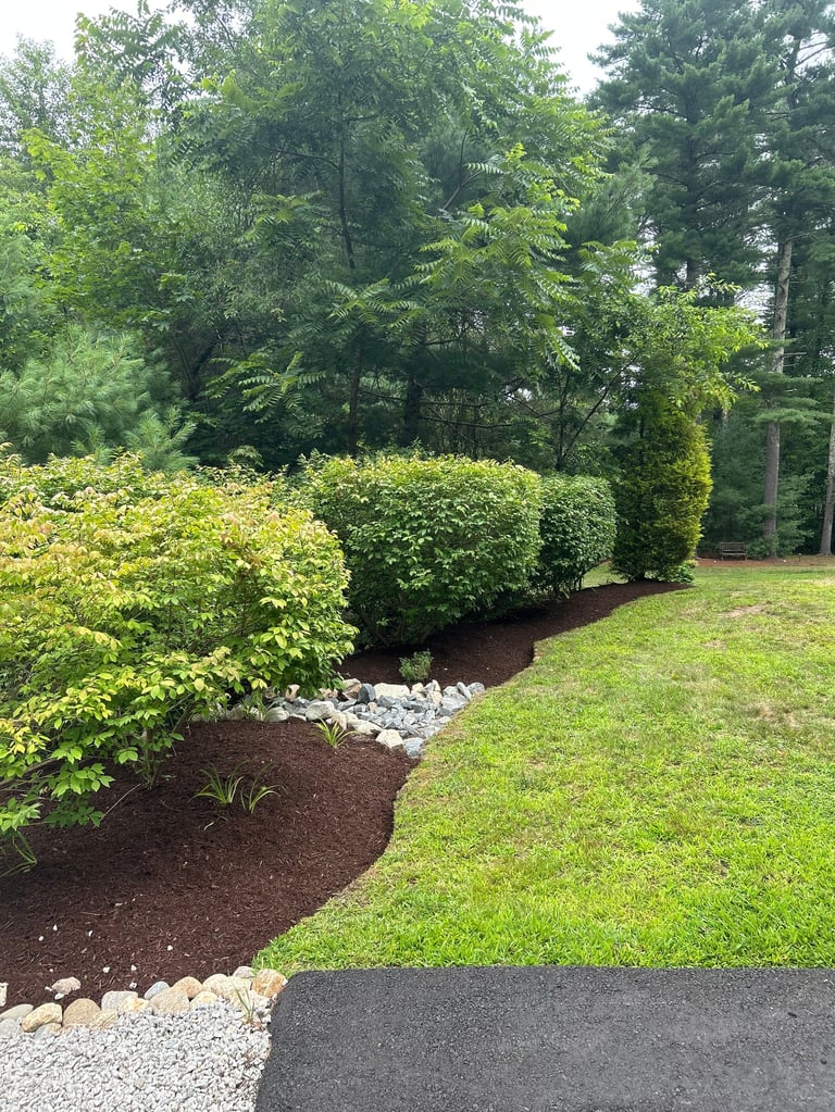 Landscaped garden with manicured green hedges, mulch bed, white gravel, and lush lawn bordered by mature trees