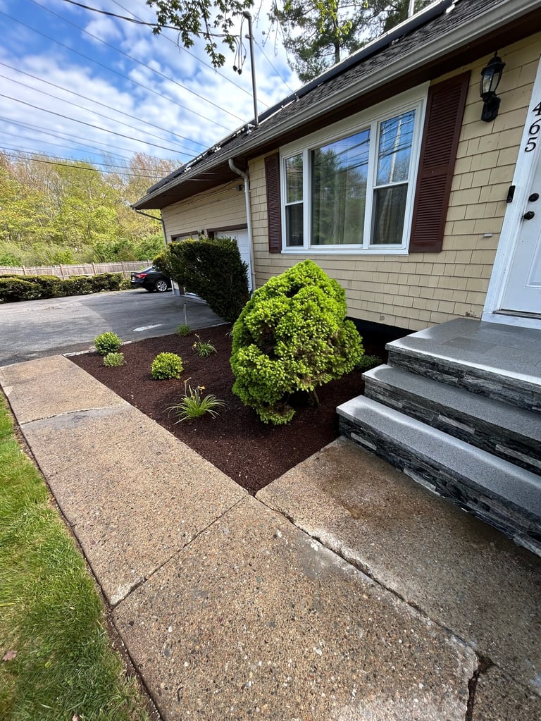 Front exterior of a residential house with landscaped shrubs, stone steps, and driveway under clear blue sky